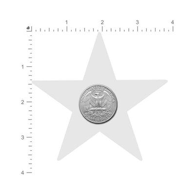 Gray star-shaped nipple pastie with a US quarter coin placed in the center for size comparison on a white background.