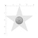 Gray star-shaped nipple pastie with a US quarter coin placed in the center for size comparison on a white background.