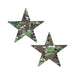 Pair of star-shaped nipple pasties with military multi-camouflage pattern on white background.