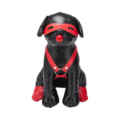 Black leather dog mannequin wearing red eye mask, ball gag, harness, and boots on back paws.
