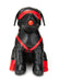 Black leather dog mannequin wearing red harness, eye mask, ball gag, and red boots on back paws.