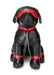 Black leather dog-shaped cushion with red collar, eye mask, leg straps, and attached silver chains.