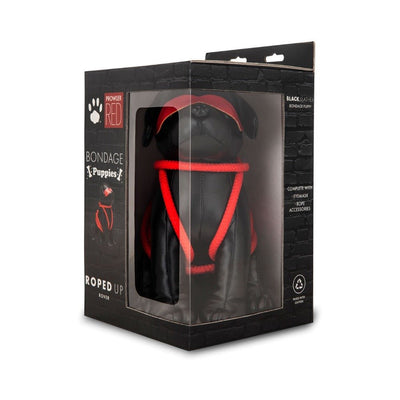 Black leather dog figurine in red bondage rope and eye mask, displayed in branded packaging box.