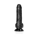 Black curved realistic dildo with textured veins, balls, and suction cup base standing upright on white background.