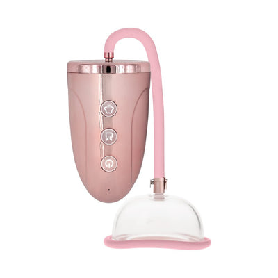 Rechargeable pink pussy pump with clear acrylic suction cup and control unit featuring three buttons.
