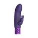 Purple silicone rechargeable bullet vibrator with rabbit-shaped clitoral stimulator and decorative base.