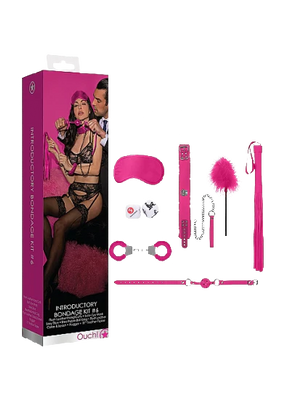 Introductory bondage kit with pink collar, leash, furry handcuffs, ball gag, feather tickler, satin mask, flogger, and sex dice.