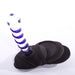 Black Spareparts Base Stabilizer Large attached to a clear glass dildo with blue accents on a white background.