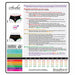 Size chart and detailed measuring guide for Spareparts Sasha Cinch Booty Short Harness in black with waistband, hip, gusset, and thigh measurements.