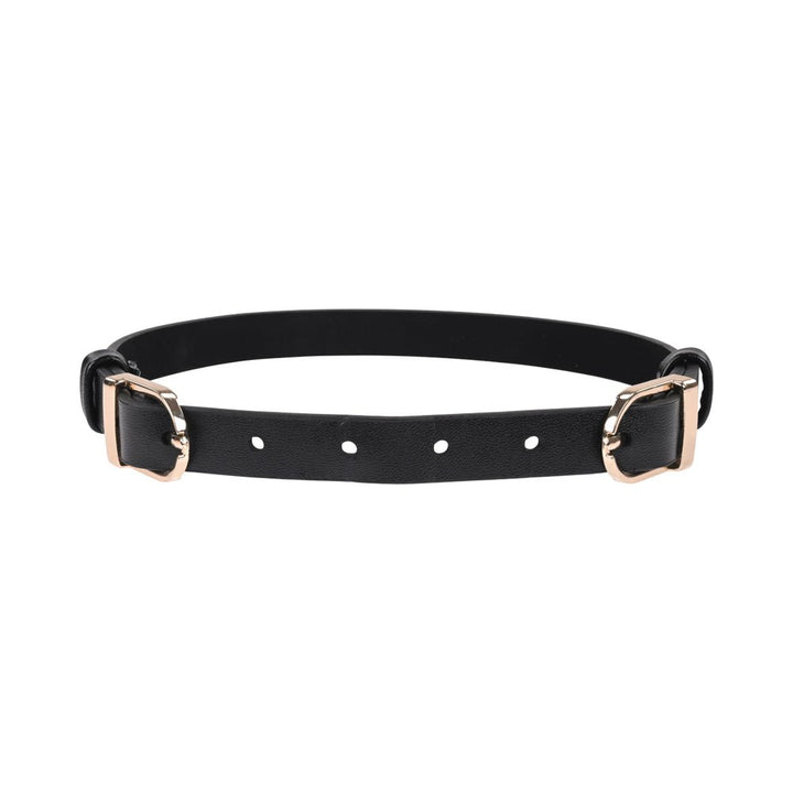 Black faux leather collar with two gold-tone adjustable buckles and multiple sizing holes on a white background.