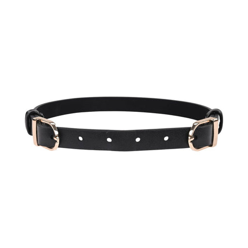 Sportsheets Sex & Mischief Double Buckle Day Collar - SexToy.com