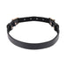 Black faux leather double buckle collar with gold-tone hardware and adjustable fit.