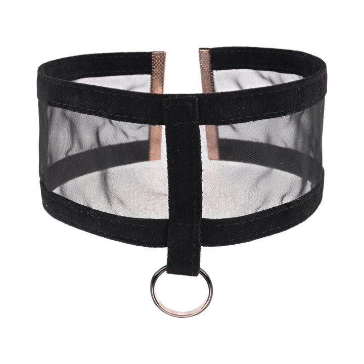 Sheer black mesh collar with velvet trim and gold-tone metal ring detail, adjustable with lobster claw closure.
