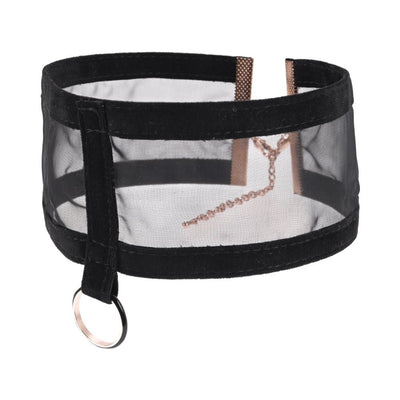 Sheer black mesh collar with velvet trim and gold metal ring, adjustable with lobster claw clasp.