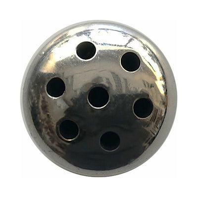 Stainless Steel Shower Penis Plug - SexToy.com