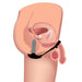 Diagram showing internal placement of a black thrusting vibrator with cock and ball ring on male anatomy.
