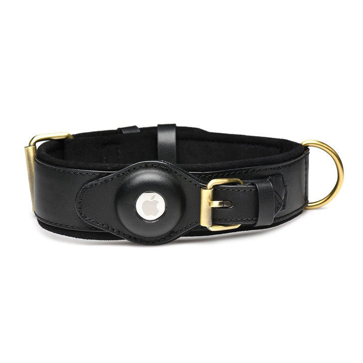 Black faux leather adjustable tracking collar with brass buckles and AirTag holder, soft inner lining for comfort.