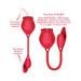 Wild Rose Suction And Bullet Red - SexToy.com