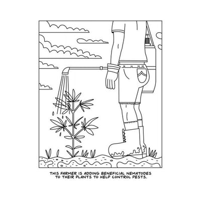 Black and white coloring book page showing a farmer applying beneficial nematodes to a cannabis plant to control pests.