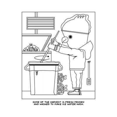 Black and white coloring book page showing a person stirring a large container with bags nearby, caption about making ice water hash.