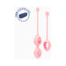 Biird Yonii 2-piece rose quartz yoni eggs set with pink silicone holders and free navy blue storage case icon.