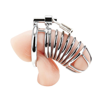 Silver metal deluxe chastity cage with multiple rings and a small padlock shown on a flesh-toned model.