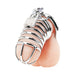 Blue Line Deluxe Chastity Cage - Silver - SexToy.com