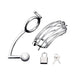 Silver metal cock cage with attached anal stimulator, padlock, and two keys on a white background.