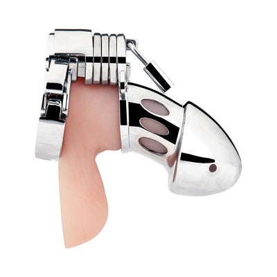Silver metal chastity cage with adjustable spacers and a locking mechanism, shown on a flesh-toned model.