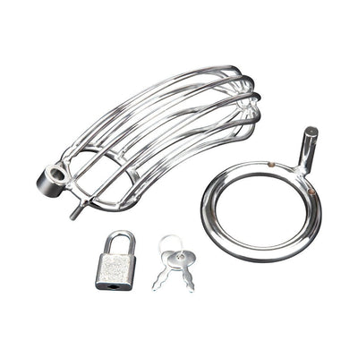 Silver stainless steel cock cage with locking ring, padlock, and two keys on white background.