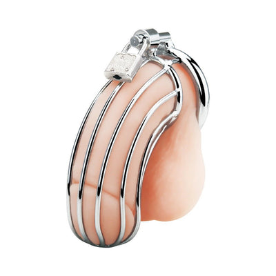 Silver stainless steel cock cage with ergonomic bars and attached lock for secure wear.