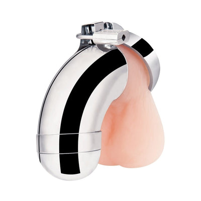 Silver stainless steel cock cage with attached flesh-toned testicle ring and locking mechanism.