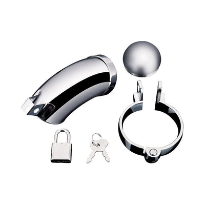 Silver stainless steel cock cage with testicle ring, padlock, and keys displayed on white background.