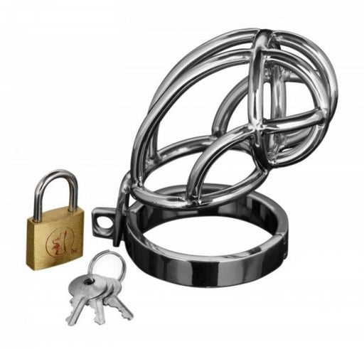 Captus Stainless Steel Locking Chastity Cage | SexToy.com