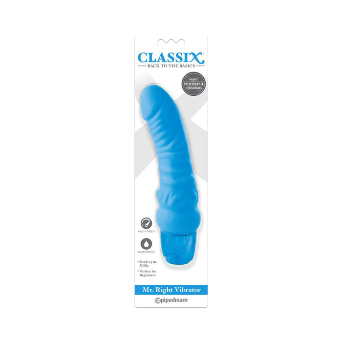 Classix Mr. Right Vibrator | SexToy.com