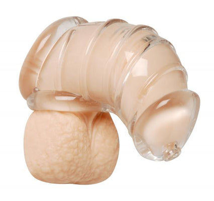Clear soft rubber chastity cage designed for discreet, comfortable long-term wear with separate chambers for cock and balls.