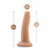 Vanilla-colored posable dildo with suction base, 5.5 inches long and 1.25 inches wide, showing detailed size measurements.