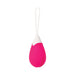 Evolved Rechargeable Egg R/c Silicone Pink - SexToy.com