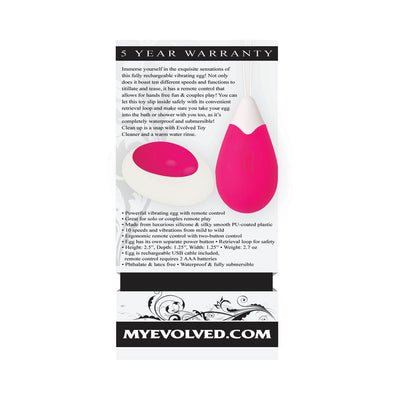 Packaging of the Evolved Remote Control Egg in pink with product details and warranty information.