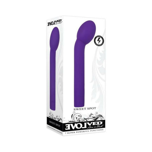 Evolved Sweet Spot Rechargeable Silicone Purple | SexToy.com