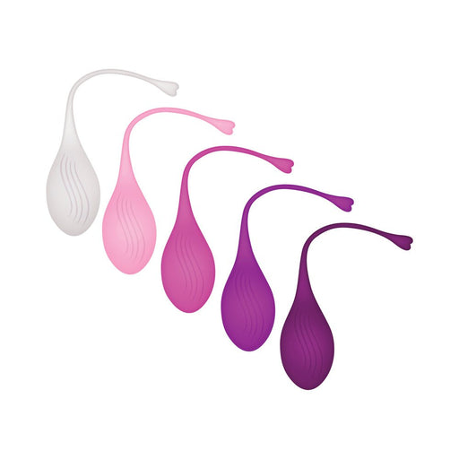 Evolved Tight & Delight Kegel Set Of 5 Silicone - SexToy.com
