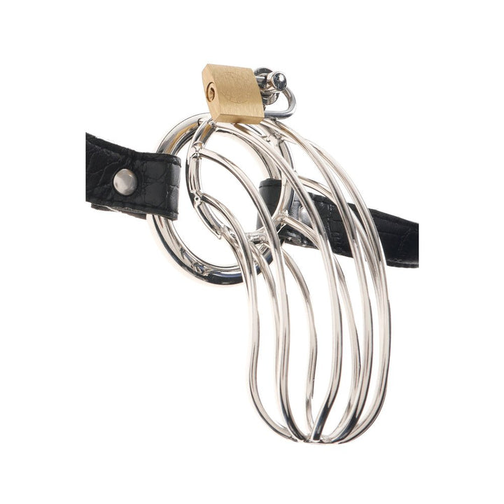 Metal chastity cage with black adjustable leather strap and brass lock for secure restraint.