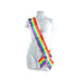 Gaysentials Rainbow Sash O/S | SexToy.com