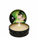 Geisha's Secret Kit Organica Exotic Green Tea | SexToy.com