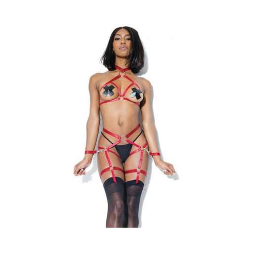 Harness Top And Crotchless Panty Merlot | SexToy.com