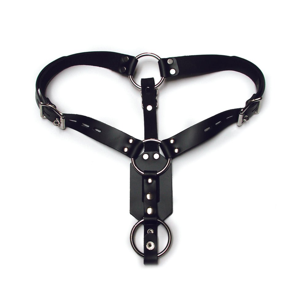 Kinklab Anal Plug Harness With Cock Ring Kinklab Anal Plug Harness With Cock Ring