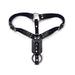 Black adjustable leather harness with metal rings and buckles designed for secure fit and plug pouch.