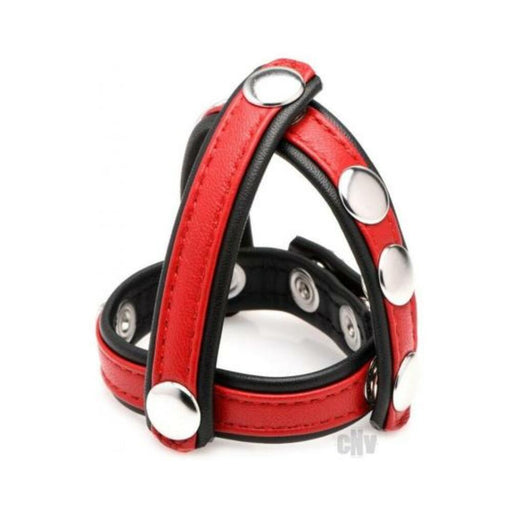 Leather Snap-on Cock Harness - Red - SexToy.com