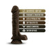 Chocolate-colored realistic dildo with suction cup base and safety feature icons on the side.