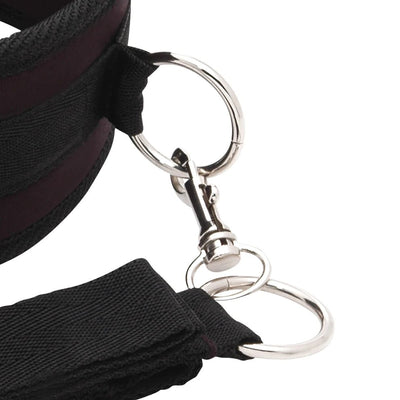 Close-up of black neoprene collar and mesh leash with silver metal clasp and rings.